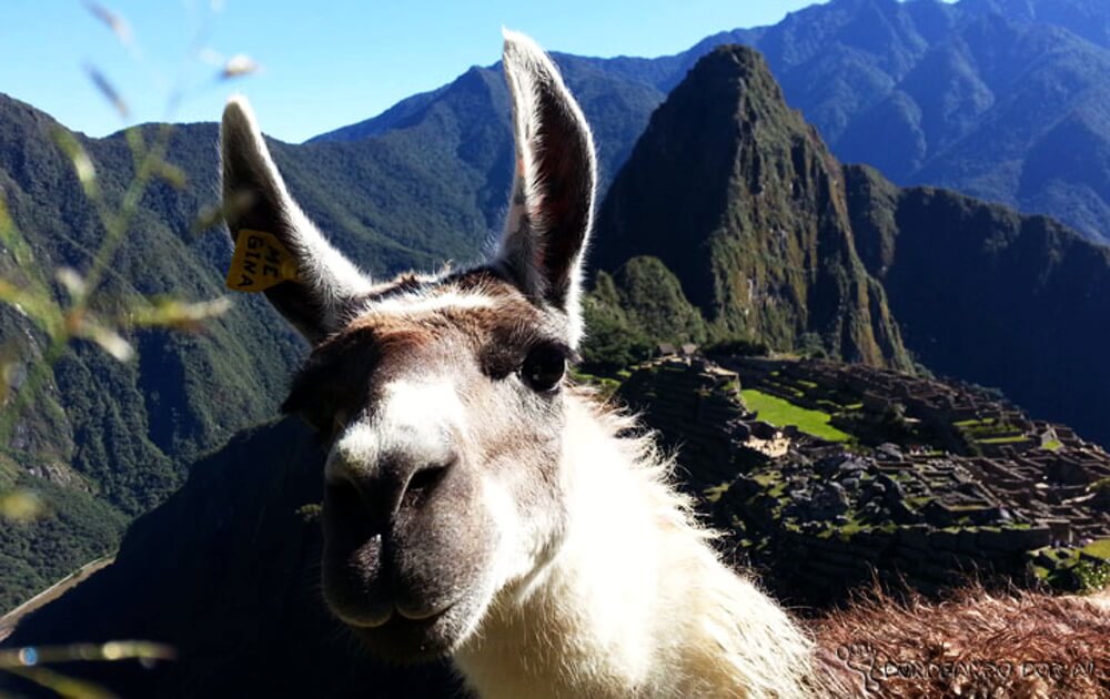 Curiosidades sobre o Peru