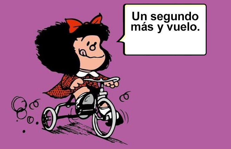 Artículos Definidos e Indefinidos Artículos Definidos e Indefinidos